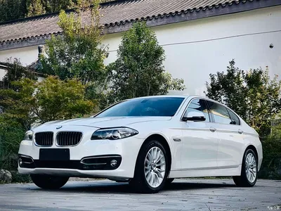 2014 BMW 5 Series 525Li Luxury Design Package, фото 1, лот 10482608