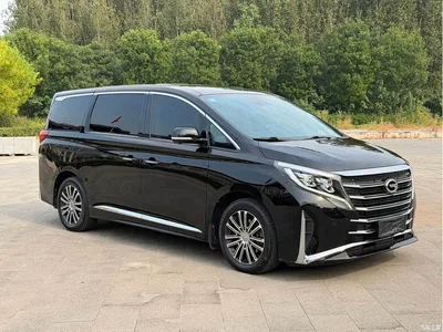 2021 GAC Trumpchi Trumpchi M8 Leading Show Series 390T Ultimate Edition, фото 3, лот 11137466