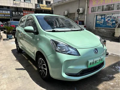 2021 Changan Benben E-Star National Edition Colorful Version LFP (31.95kWh), фото 3, лот 10252331