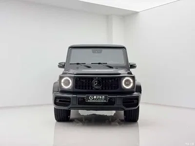 2010 Mercedes-Benz G-Class G 500, фото 2, лот 10765060