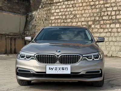 2020 BMW 5 Series 530Li Leading Luxury Package, фото 2, лот 11178168