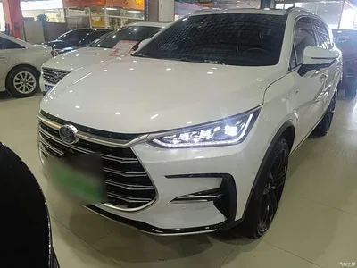 2021 BYD Tang New Energy DM 2.0T AWD High Performance Genesis Flagship, фото 2, лот 10272579