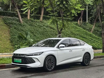 2024 BYD Qin L DM-i 120KM Excellence Model, фото 1, лот 11546975