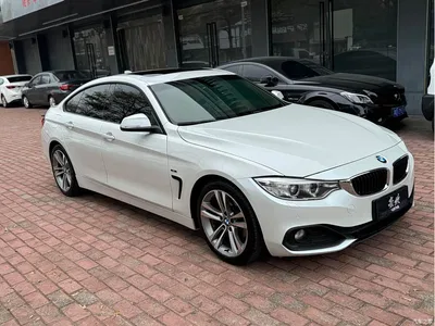 2014 BMW 4 Series 420i Gran Coupe Fashion Edition, фото 2, лот 10468460