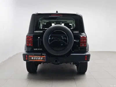 2024 Tank 300 Model 2.0T Challenger, фото 4, лот 10345267