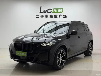 2025 BMW X5 Model xDrive 30Li Exclusive M Sport Blackout Package, фото 1, лот 10462719