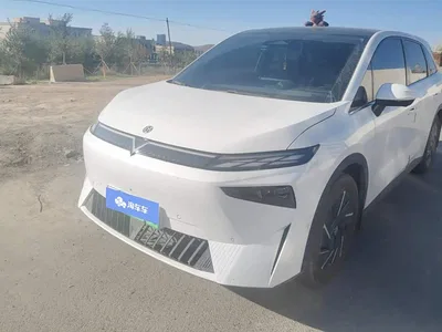 2023 Venucia VX6 Model 520 Max, фото 1, лот 10616313