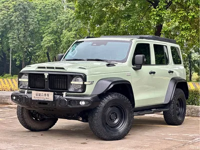 2021 Tank 300 2.0T Wind Forest Iron Cavalry, фото 1, лот 11067834