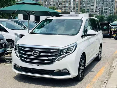 2018 GAC Trumpchi Trumpchi M8 320T Premium Edition, фото 1, лот 10417715