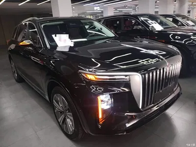 2022 Hongqi E-HS9 660km Qi Chang Edition (6-seater), фото 4, лот 10289305