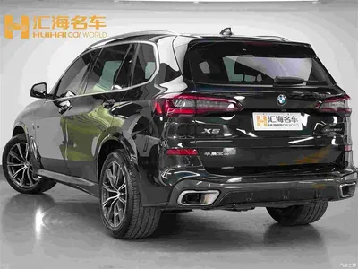 2022 BMW X5 Facelift xDrive 30Li Premium M Sport Package, фото 4, лот 11567780