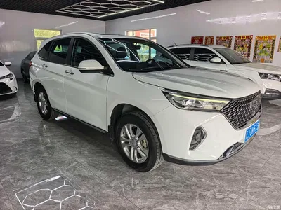 2021 Haval M6 PLUS 1.5T Manual Comfort, фото 2, лот 11138733