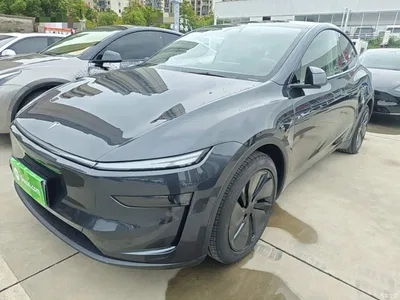 2025 Tesla Model Y Rear-Wheel Drive, фото 1, лот 11301051