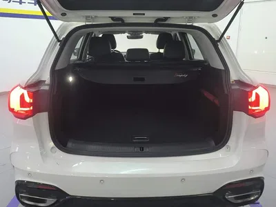 2021 MG Pilot 300TGI Automatic 2WD Randong Luxury Edition, фото 4, лот 10324797