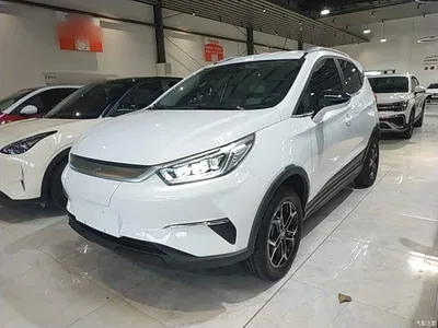2021 BYD Yuan Pro 401KM Luxury Model, фото 1, лот 10362023