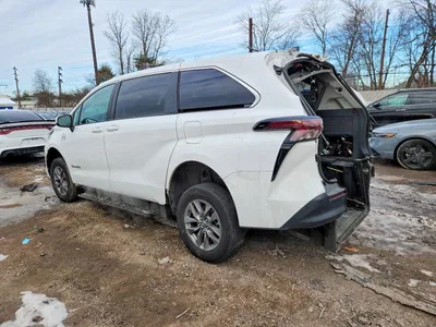 2024 TOYOTA SIENNA LE, фото 2, лот 10492781