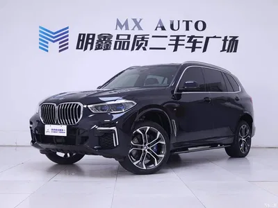 2022 BMW X5 Facelift xDrive 40Li Premium M Sport Package, фото 2, лот 10408560