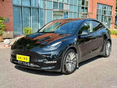 2021 Tesla Model Y Model Long Range AWD, фото 1, лот 10400311