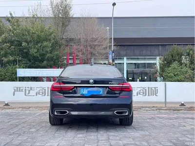 2018 BMW 7 Series 730Li Leading Type M Sport Package, фото 4, лот 11502363