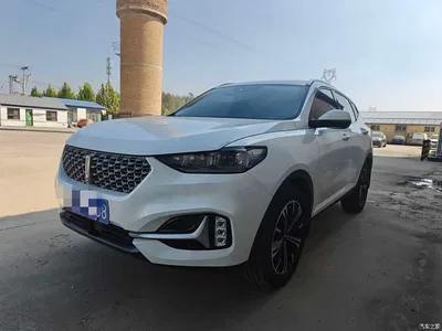 2021 WEY VV6 2.0T 2WD Smart Enjoyment+, фото 1, лот 11018406