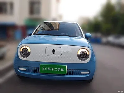 2021 Ora Black Cat 301km Basic Model, фото 2, лот 11548610