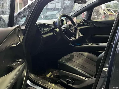 2024 BYD Dolphin Glory Edition 420km Freedom Edition, фото 4, лот 10767883