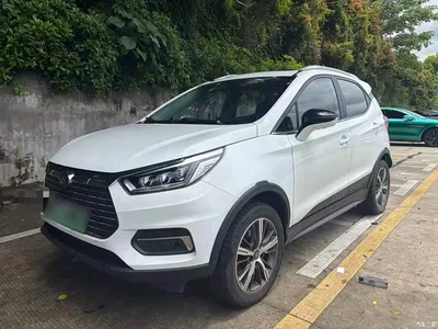 2019 BYD Yuan New Energy EV535 High Energy Navigation Edition, фото 2, лот 10293818