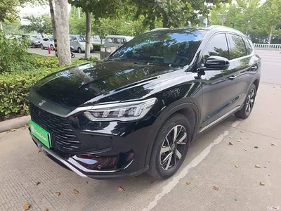 2024 BYD Song Pro New Energy Glory Edition DM-i 71KM Pilot, фото 2, лот 11460657