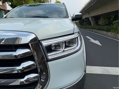 2021 Great Wall Pao 2.0T Passenger Global Edition Automatic Gasoline 4WD Premium Standard Box GW4C20B, фото 4, лот 10245856