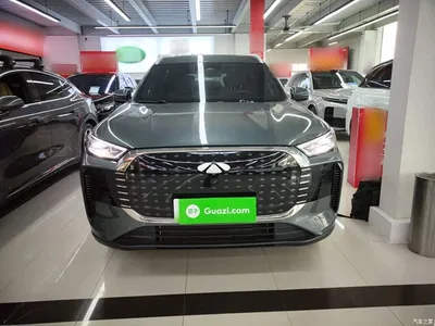 2025 Chery Fengyun T8 1.5T 130km Premium Edition 5-Seater, фото 3, лот 11153779