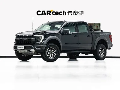 2023 Ford F-150 Raptor 3.5T Raptor, фото 1, лот 10294373