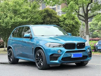2016 BMW X5 M Custom Edition, фото 3, лот 10477115