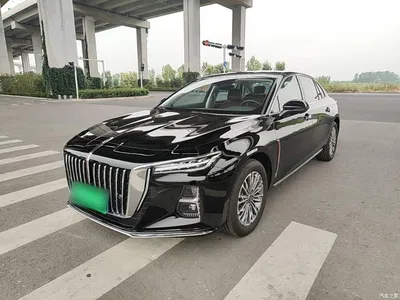 2025 Hongqi H5 1.5T DCT Flag Rhythm 500,000 Units Memorial Edition, фото 2, лот 10389722