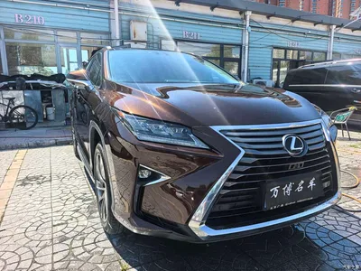 2016 Lexus RX 300 4WD Elegance Edition China VI, фото 2, лот 10312095