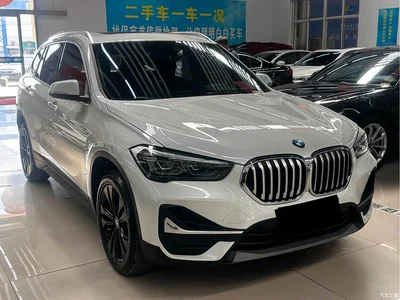 2020 BMW X1 sDrive20Li Fashion Model, фото 3, лот 10467213