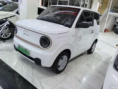 2024 Geely Galaxy Panda mini 200km Endurance Bear, фото 1, лот 10430283