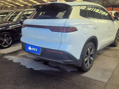 2024 BYD Song Pro New Energy Glory Edition DM-i 71KM Pilot, фото 3, лот 10273995