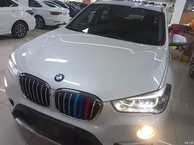 2019 BMW X1 sDrive18Li Premium Model, фото 3, лот 10390285
