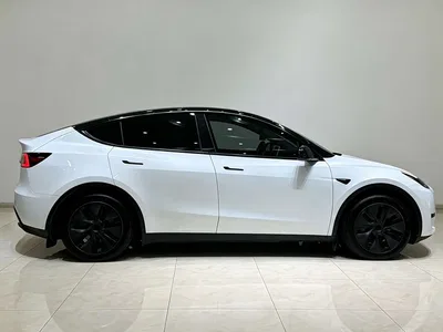 2024 Tesla Model Y Rear-Wheel Drive Version, фото 4, лот 11215909