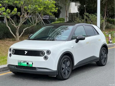 2025 Firefly Firefly Luminescent Edition, фото 1, лот 11568467