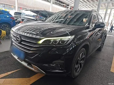 2019 GAC Trumpchi Trumpchi GS5 270T Automatic Luxury, фото 1, лот 11002647