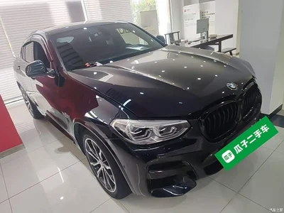 2021 BMW X4 Facelift xDrive 25i M Sport Shadow Package, фото 4, лот 10626288
