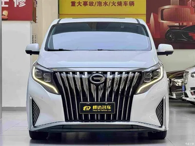 2021 GAC Trumpchi Trumpchi M8 Master Series 390T Prestige Edition, фото 2, лот 10414151