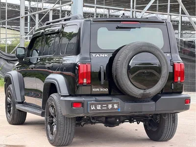 2021 Tank 300 Off-road Version 2.0T Conqueror, фото 4, лот 10613038