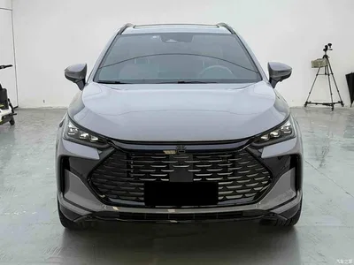 2025 BYD Tang New Energy DM-i 115KM Prestige Type, фото 4, лот 11468498