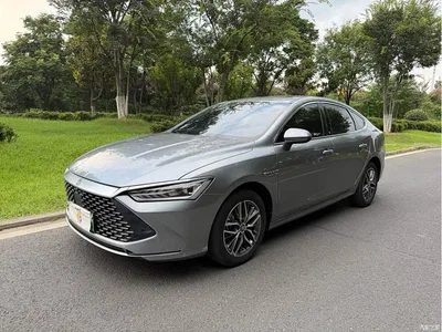 2023 BYD Qin PLUS Champion Edition DM-i 120KM Excellence, фото 1, лот 10363672