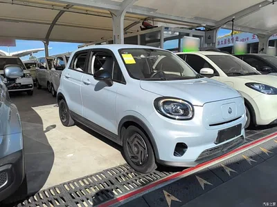 2023 Leapmotor T03 200 Light Edition, фото 4, лот 11002738