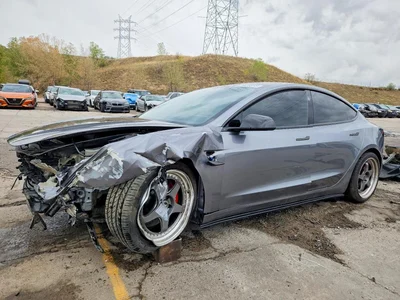 2025 TESLA MODEL 3, фото 1, лот 11282050