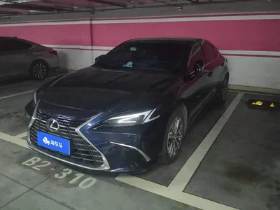 2024 Lexus ES 200 Premium Edition, фото 1, лот 10316108