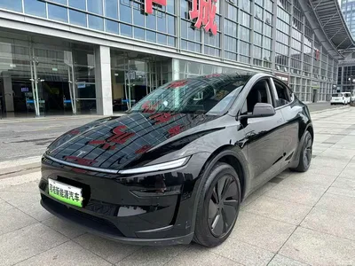 2025 Tesla Model Y Rear-Wheel Drive, фото 1, лот 11081330